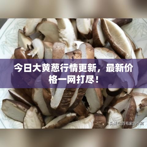 今日大黃蔥行情更新，最新價格一網(wǎng)打盡！