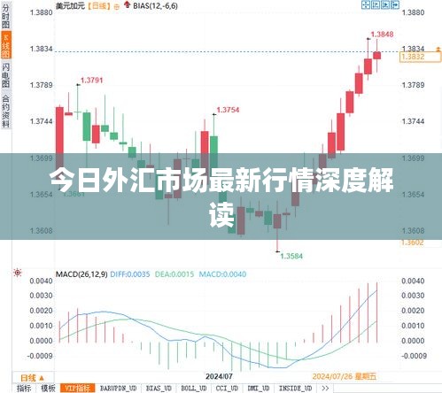 今日外匯市場(chǎng)最新行情深度解讀