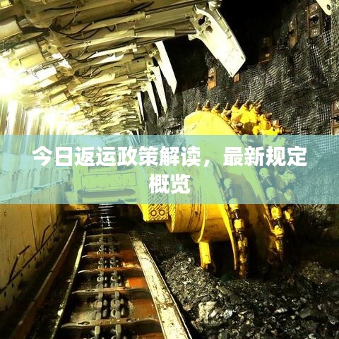 今日返運政策解讀，最新規(guī)定概覽