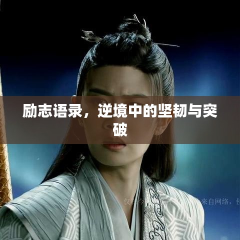 勵(lì)志語(yǔ)錄，逆境中的堅(jiān)韌與突破