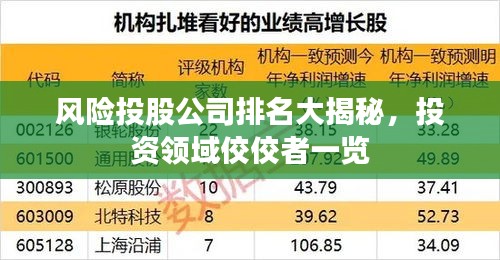 風險投股公司排名大揭秘，投資領域佼佼者一覽