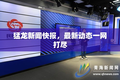猛龍新聞快報，最新動態(tài)一網(wǎng)打盡