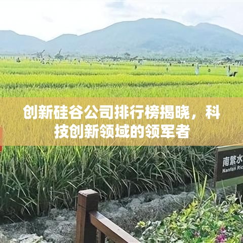 創(chuàng)新硅谷公司排行榜揭曉，科技創(chuàng)新領(lǐng)域的領(lǐng)軍者