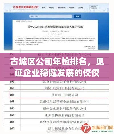 古城區(qū)公司年檢排名，見證企業(yè)穩(wěn)健發(fā)展的佼佼者