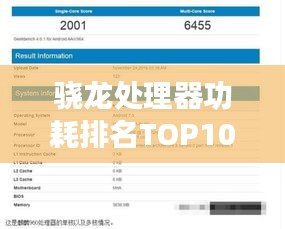 驍龍?zhí)幚砥鞴呐琶鸗OP10，性能與能耗比大解析！