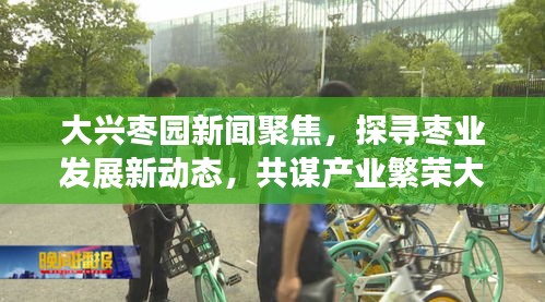大興棗園新聞聚焦，探尋棗業(yè)發(fā)展新動態(tài)，共謀產(chǎn)業(yè)繁榮大計