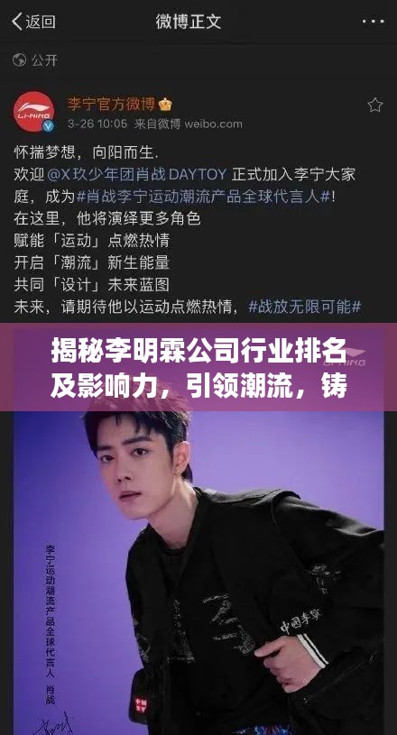 揭秘李明霖公司行業(yè)排名及影響力，引領(lǐng)潮流，鑄就傳奇！