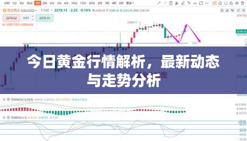 今日黃金行情解析，最新動(dòng)態(tài)與走勢(shì)分析