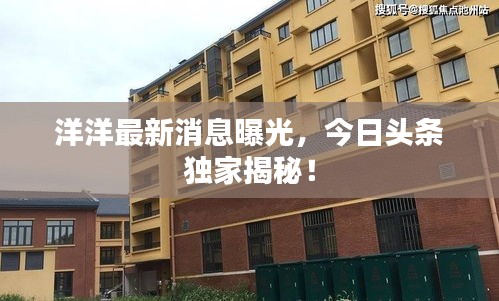 洋洋最新消息曝光，今日頭條獨(dú)家揭秘！