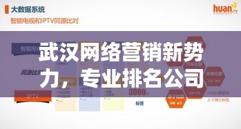 武漢網(wǎng)絡(luò)營(yíng)銷(xiāo)新勢(shì)力，專(zhuān)業(yè)排名公司助力企業(yè)快速騰飛