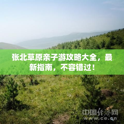 張北草原親子游攻略大全，最新指南，不容錯過！
