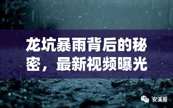 龍坑暴雨背后的秘密，最新視頻曝光，揭示驚人真相！