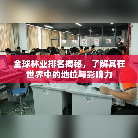 全球林業(yè)排名揭秘，了解其在世界中的地位與影響力
