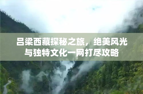 國(guó)色天姿 第4頁