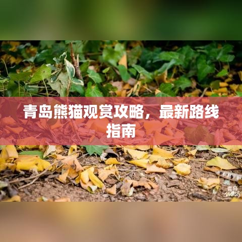 鳥驚鼠竄 第4頁