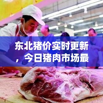 東北豬價(jià)實(shí)時(shí)更新，今日豬肉市場(chǎng)最新動(dòng)態(tài)分析