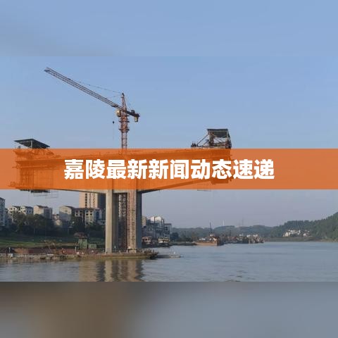 嘉陵最新新聞動態速遞