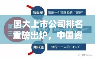 國(guó)大上市公司排名重磅出爐，中國(guó)資本市場(chǎng)龍頭企業(yè)全景解析