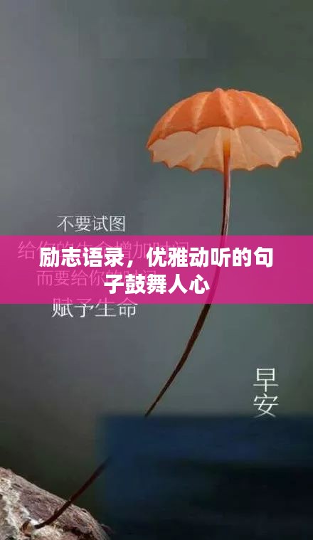 勵(lì)志語(yǔ)錄，優(yōu)雅動(dòng)聽(tīng)的句子鼓舞人心