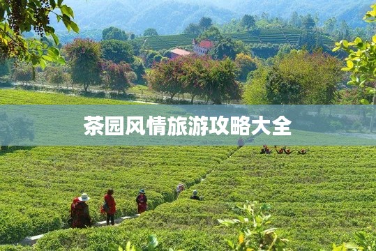 學(xué)貫中西 第3頁
