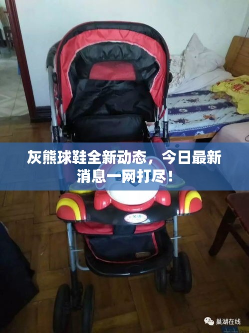 灰熊球鞋全新動(dòng)態(tài)，今日最新消息一網(wǎng)打盡！