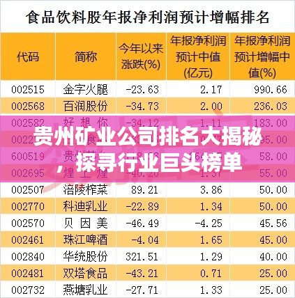 貴州礦業(yè)公司排名大揭秘，探尋行業(yè)巨頭榜單