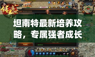 坦南特最新培養(yǎng)攻略，專屬?gòu)?qiáng)者成長(zhǎng)之路揭秘