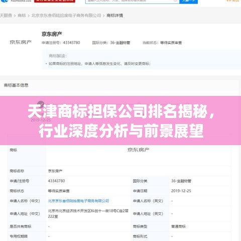 天津商標(biāo)擔(dān)保公司排名揭秘，行業(yè)深度分析與前景展望