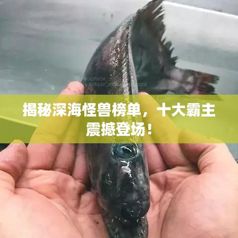 盡心竭力 第3頁(yè)