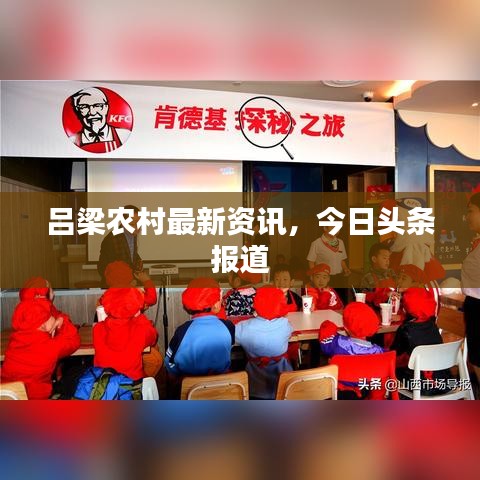 呂梁農(nóng)村最新資訊，今日頭條報道