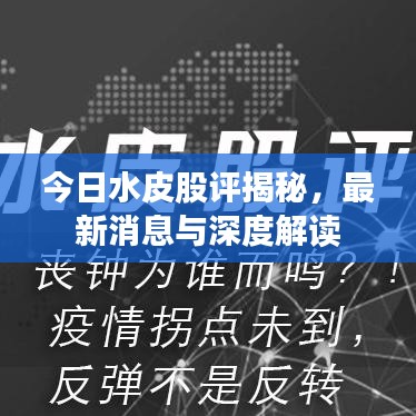 今日水皮股評揭秘，最新消息與深度解讀