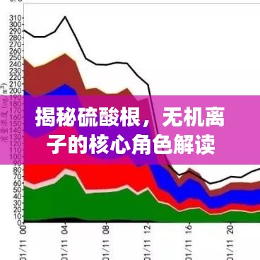 揭秘硫酸根，無機(jī)離子的核心角色解讀