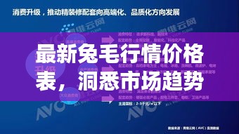 最新兔毛行情價(jià)格表，洞悉市場趨勢，把握行業(yè)脈動(dòng)