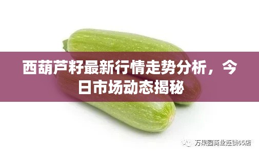西葫蘆籽最新行情走勢(shì)分析，今日市場(chǎng)動(dòng)態(tài)揭秘