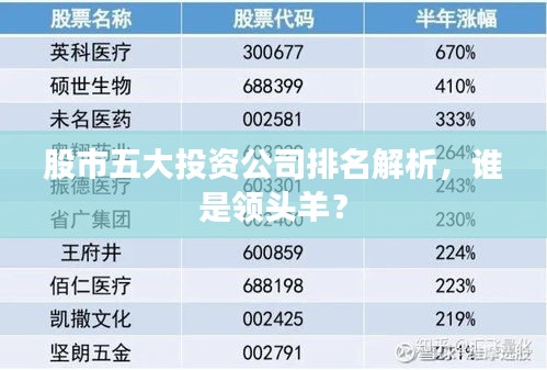 股市五大投資公司排名解析，誰是領(lǐng)頭羊？