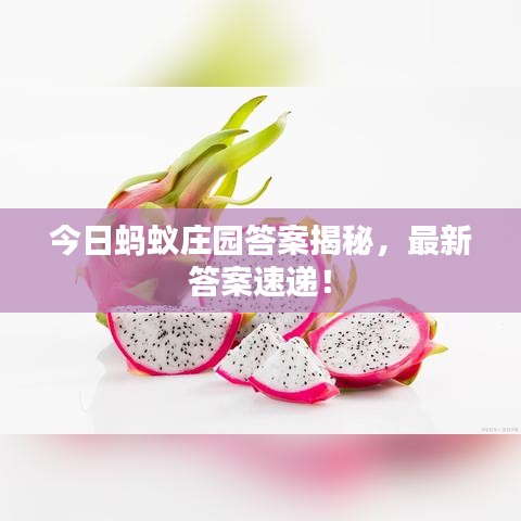 今日螞蟻莊園答案揭秘，最新答案速遞！