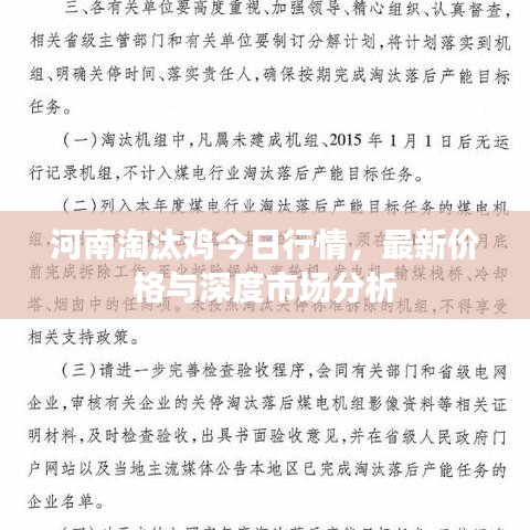 河南淘汰雞今日行情，最新價格與深度市場分析