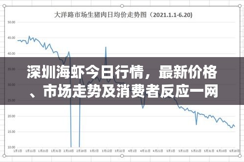 深圳海蝦今日行情，最新價(jià)格、市場(chǎng)走勢(shì)及消費(fèi)者反應(yīng)一網(wǎng)打盡