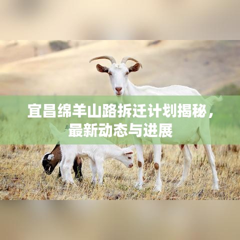 宜昌綿羊山路拆遷計劃揭秘，最新動態(tài)與進展