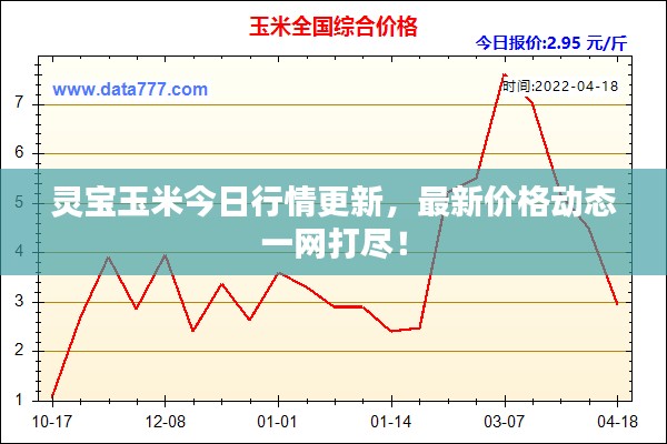 靈寶玉米今日行情更新，最新價(jià)格動(dòng)態(tài)一網(wǎng)打盡！