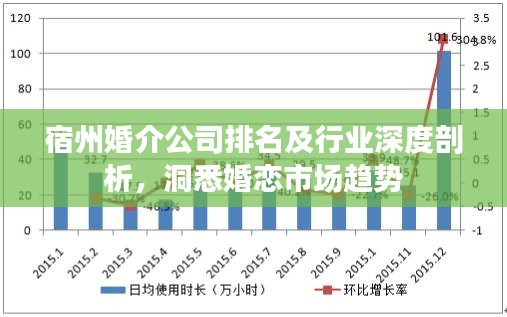 宿州婚介公司排名及行業(yè)深度剖析，洞悉婚戀市場趨勢