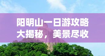 陽(yáng)明山一日游攻略大揭秘，美景盡收眼底！