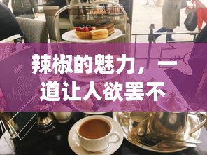 辣椒的魅力，一道讓人欲罷不能的美食探索之旅！