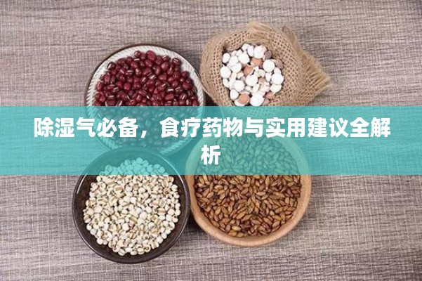 除濕氣必備，食療藥物與實用建議全解析