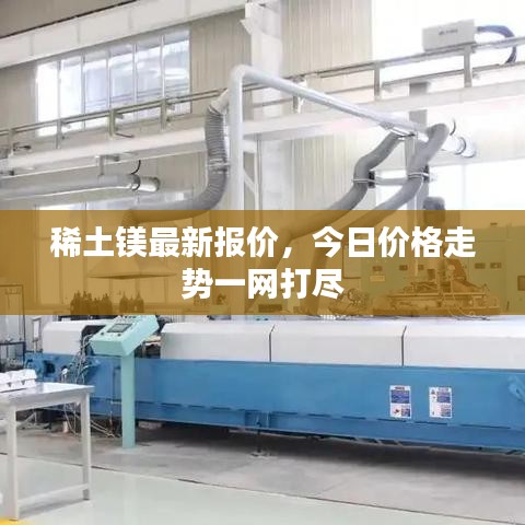 稀土鎂最新報價，今日價格走勢一網(wǎng)打盡