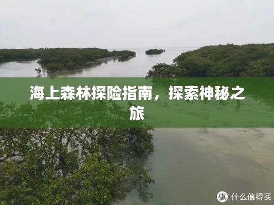 海上森林探險指南，探索神秘之旅