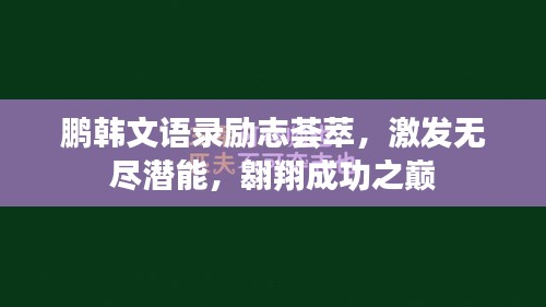 鵬韓文語錄勵志薈萃，激發(fā)無盡潛能，翱翔成功之巔