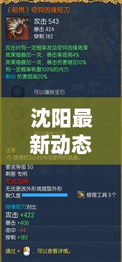 沈陽(yáng)最新動(dòng)態(tài)更新速遞