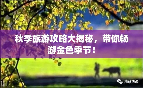 富貴不能淫 第2頁