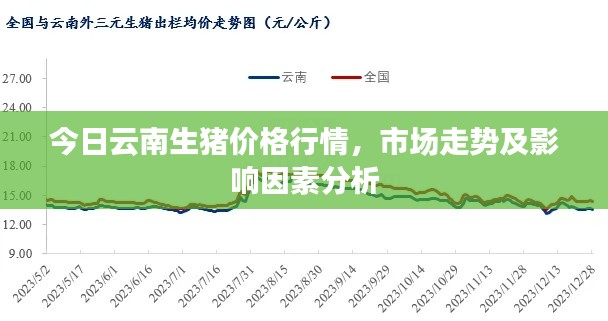 今日云南生豬價格行情，市場走勢及影響因素分析